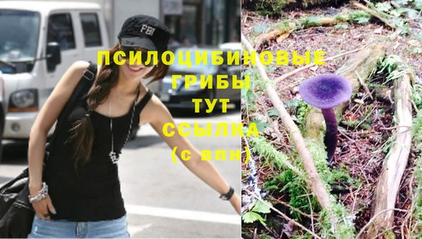 синтетический гашиш Няндома