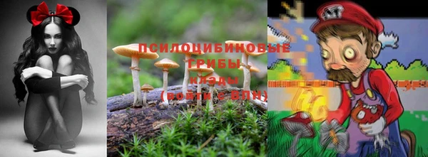 гидра Нягань