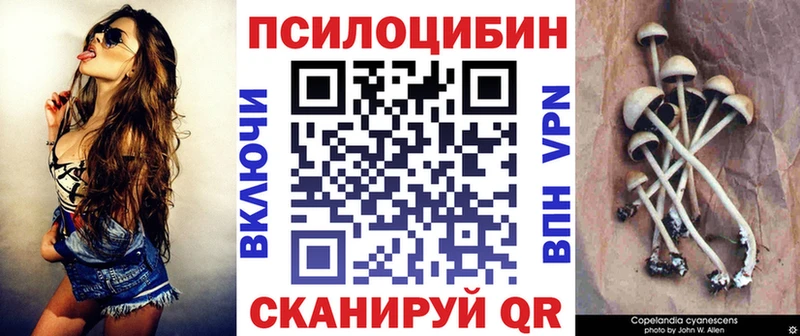 Псилоцибиновые грибы ЛСД  купить наркотик  Прохладный 