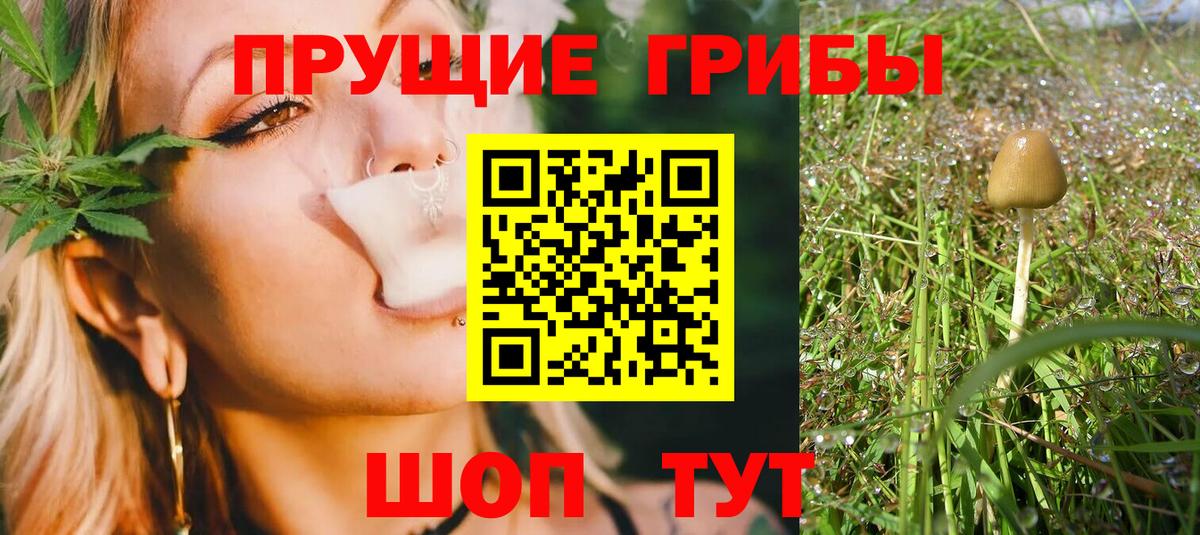 Галлюциногенные грибы прущие грибы  Вход с VPN  Прохладный 