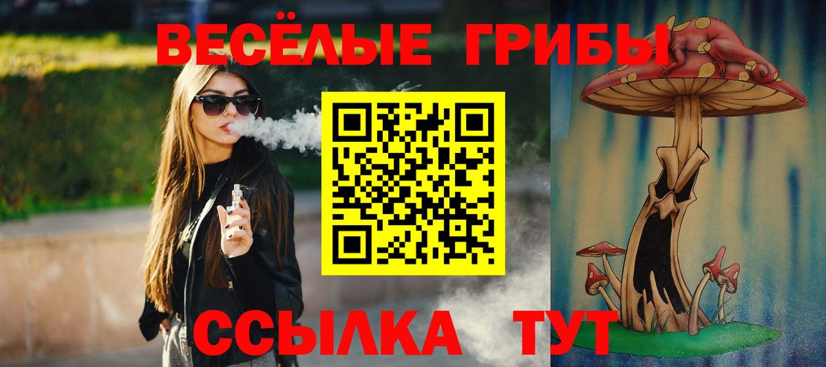 Галлюциногенные грибы Cubensis Прохладный